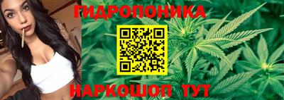 МДПВ Обнинск