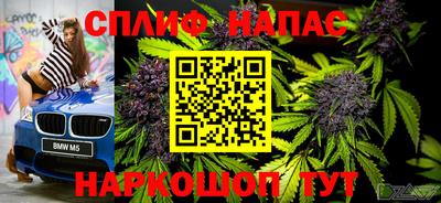 apvp Обь