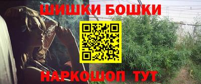 apvp Обь